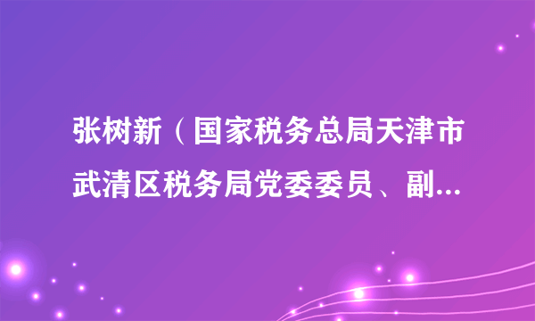张树新（国家税务总局天津市武清区税务局党委委员、副局长、三级高级主办）