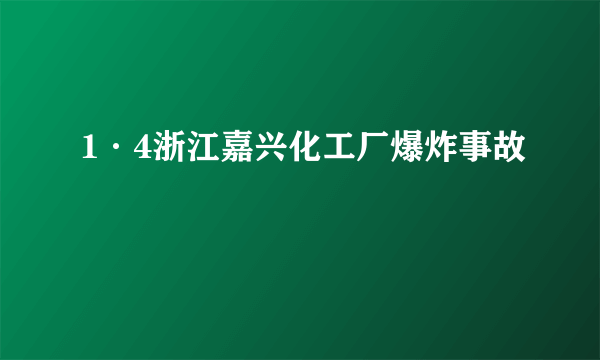 1·4浙江嘉兴化工厂爆炸事故