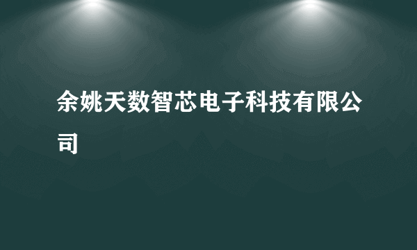 余姚天数智芯电子科技有限公司
