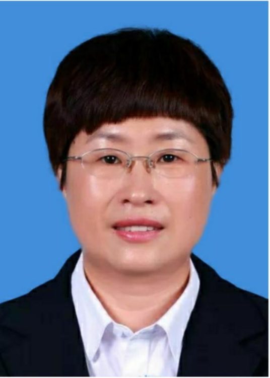 代丽（辽宁省沈阳市沈河区委副书记、宣传部部长）