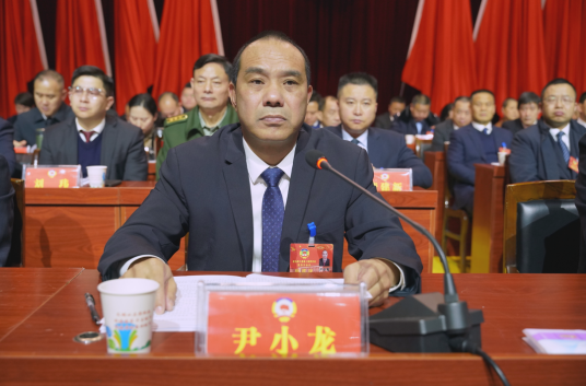 尹小龙（湖南省邵阳市洞口县政协原党组书记、主席）