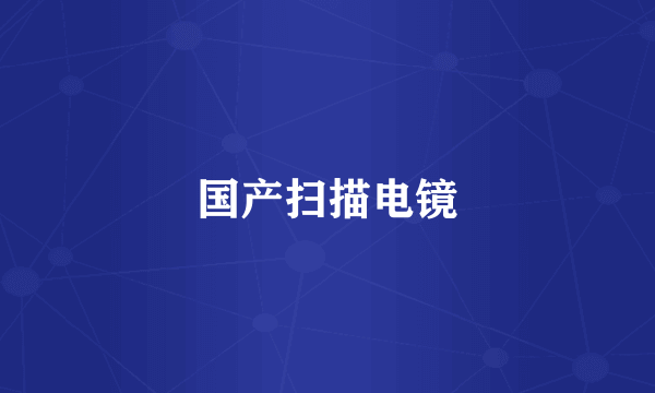 国产扫描电镜