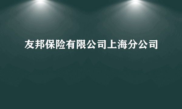 友邦保险有限公司上海分公司