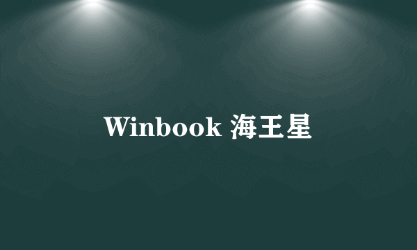 Winbook 海王星