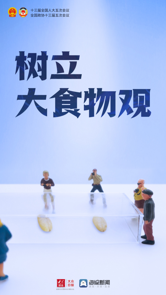 大食物观