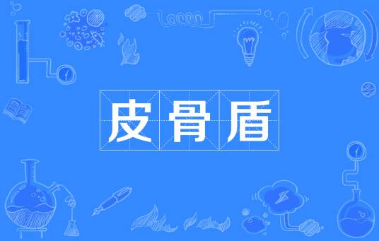 皮骨盾