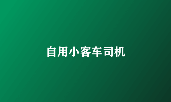 自用小客车司机