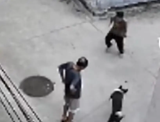 8·27项城男童被狗咬伤事件