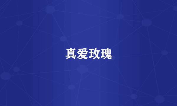 真爱玫瑰