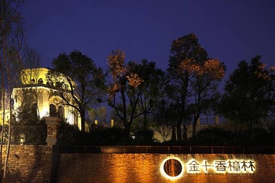 金十香樟林