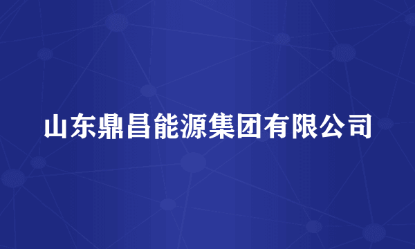 山东鼎昌能源集团有限公司