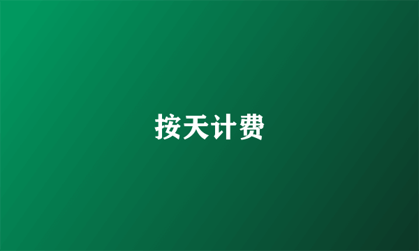 按天计费