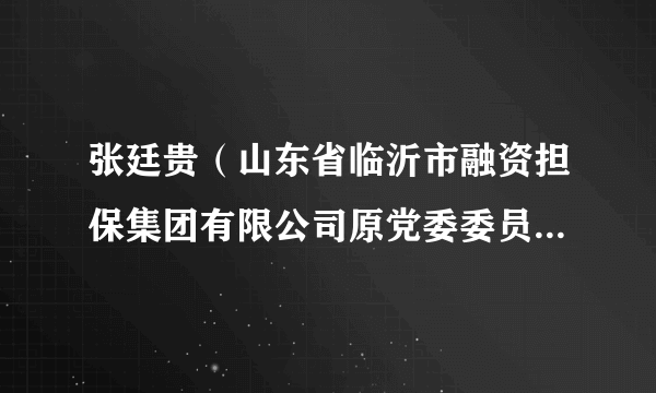 张廷贵（山东省临沂市融资担保集团有限公司原党委委员、监事会主席）