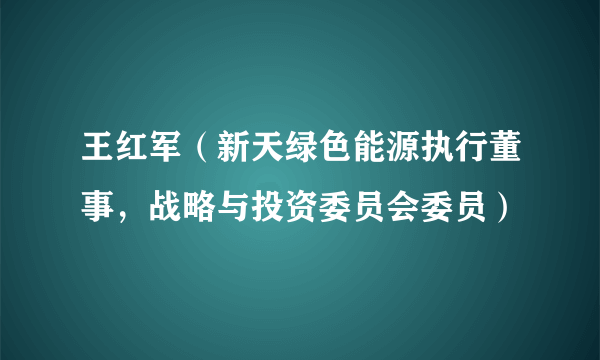 王红军（新天绿色能源执行董事，战略与投资委员会委员）