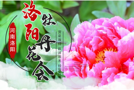 洛阳牡丹花会