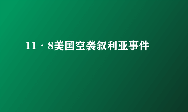 11·8美国空袭叙利亚事件