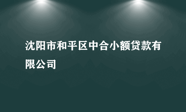 沈阳市和平区中合小额贷款有限公司