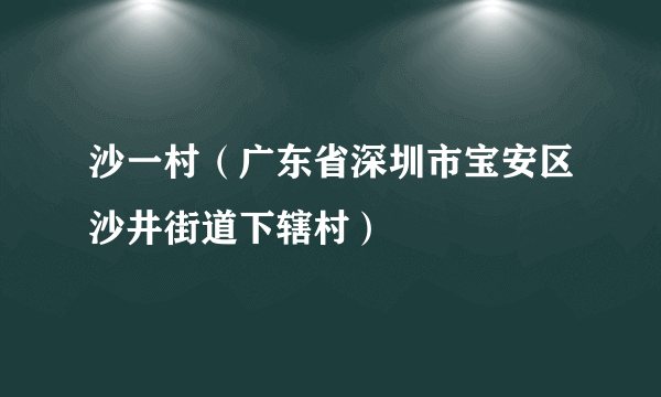 沙一村（广东省深圳市宝安区沙井街道下辖村）