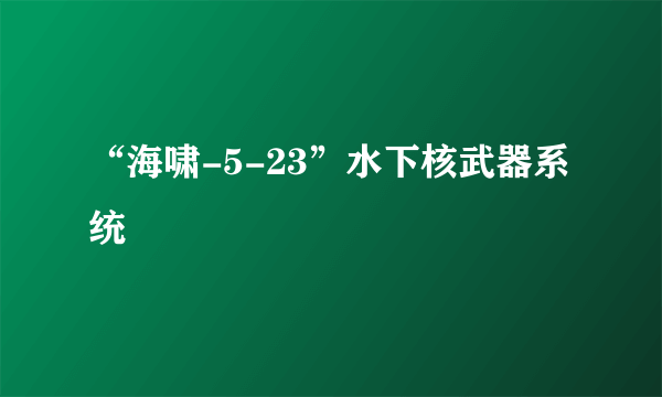 “海啸-5-23”水下核武器系统
