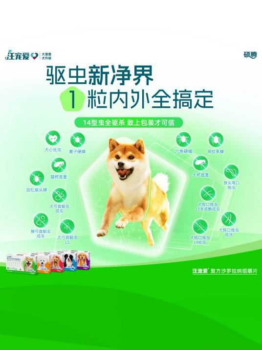 汪宠爱