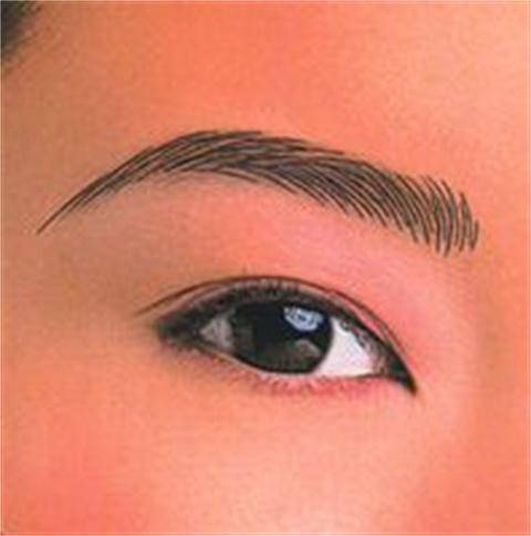 纹眉