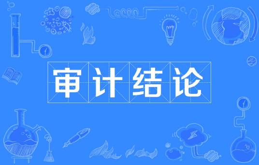 审计结论