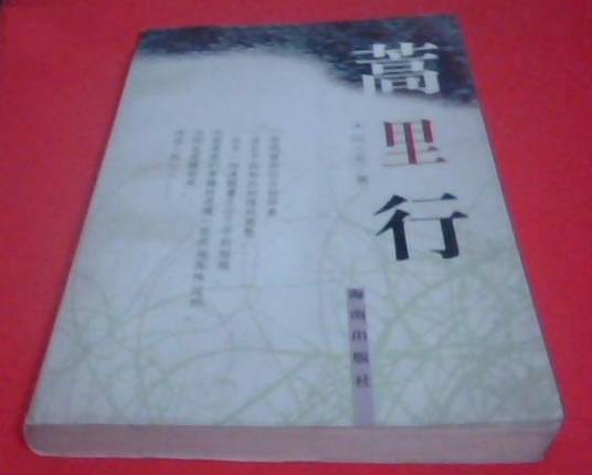 蒿里（生铁创作的长篇小说）