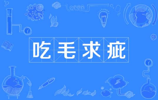 吃毛求疵