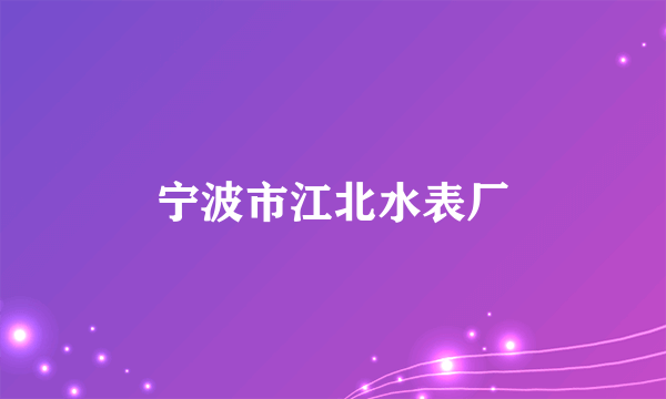 宁波市江北水表厂