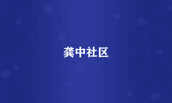龚中社区