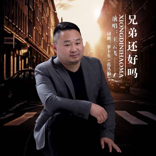 兄弟还好吗（王云飞演唱歌曲）