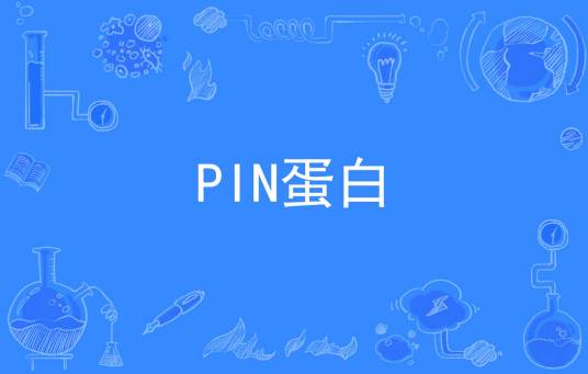 PIN蛋白