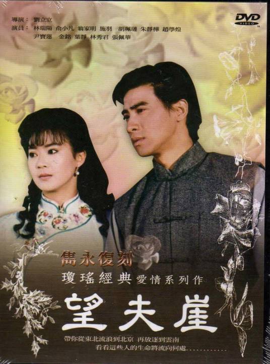 望夫崖（1991年刘立立执导的家庭电视剧）