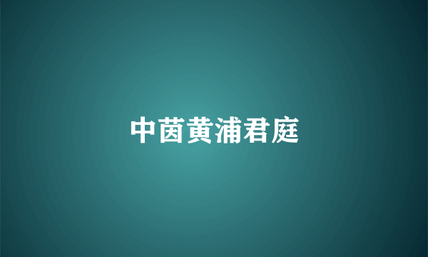 中茵黄浦君庭