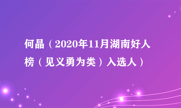 何晶（2020年11月湖南好人榜（见义勇为类）入选人）