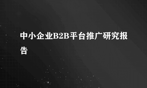 中小企业B2B平台推广研究报告
