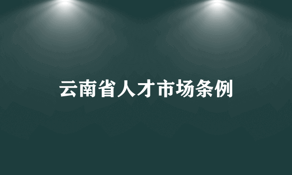 云南省人才市场条例