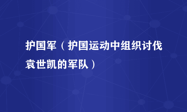 护国军（护国运动中组织讨伐袁世凯的军队）