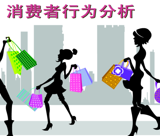 消费者行为（2010年中国市场出版社出版的图书）