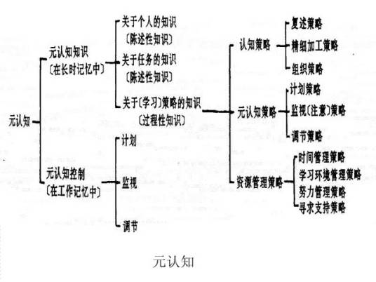元认知（2014年机械工业出版社出版的图书）