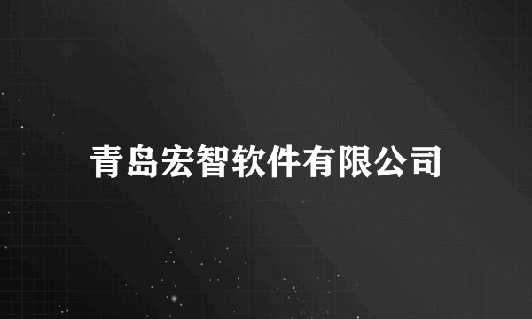 青岛宏智软件有限公司