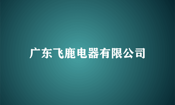 广东飞鹿电器有限公司