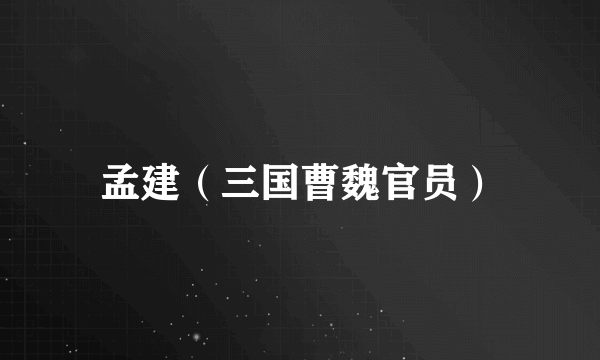 孟建（三国曹魏官员）