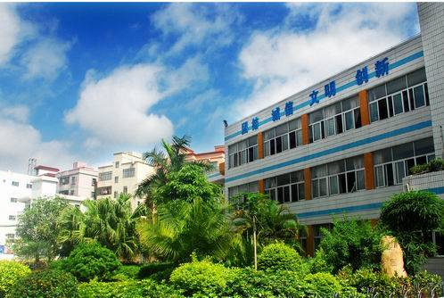 深圳市龙岗区沙西小学