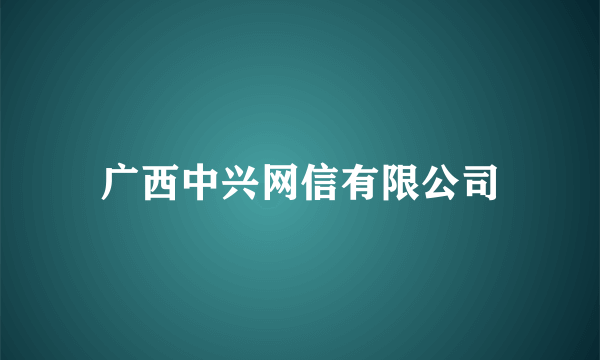 广西中兴网信有限公司