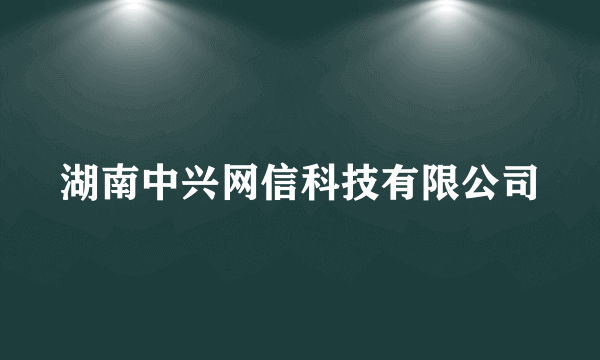 湖南中兴网信科技有限公司