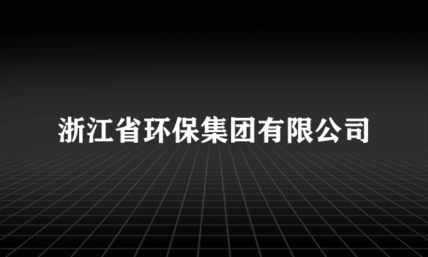 浙江省环保集团有限公司