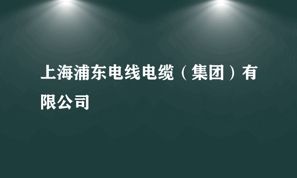 上海浦东电线电缆（集团）有限公司