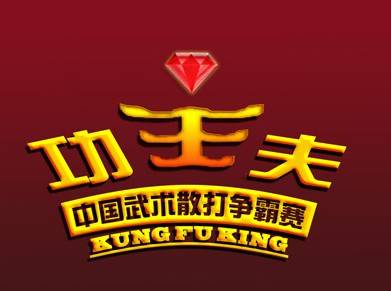 中国武术散打功夫王争霸赛