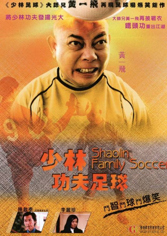 功夫老爸（2004年刘俊辉执导的喜剧动作电影）